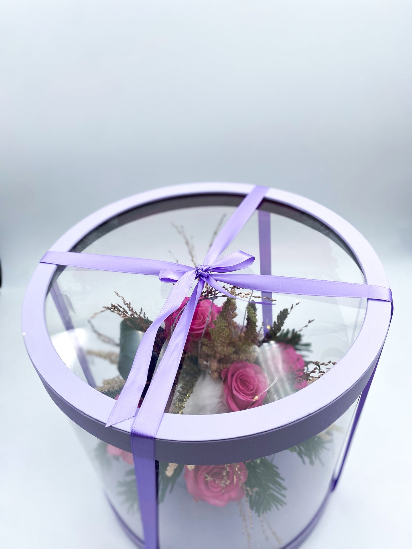 🦄 CIRCLE BOX 🦄