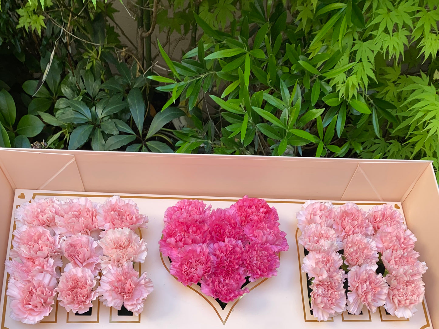 🎀 Mom Box 🎀