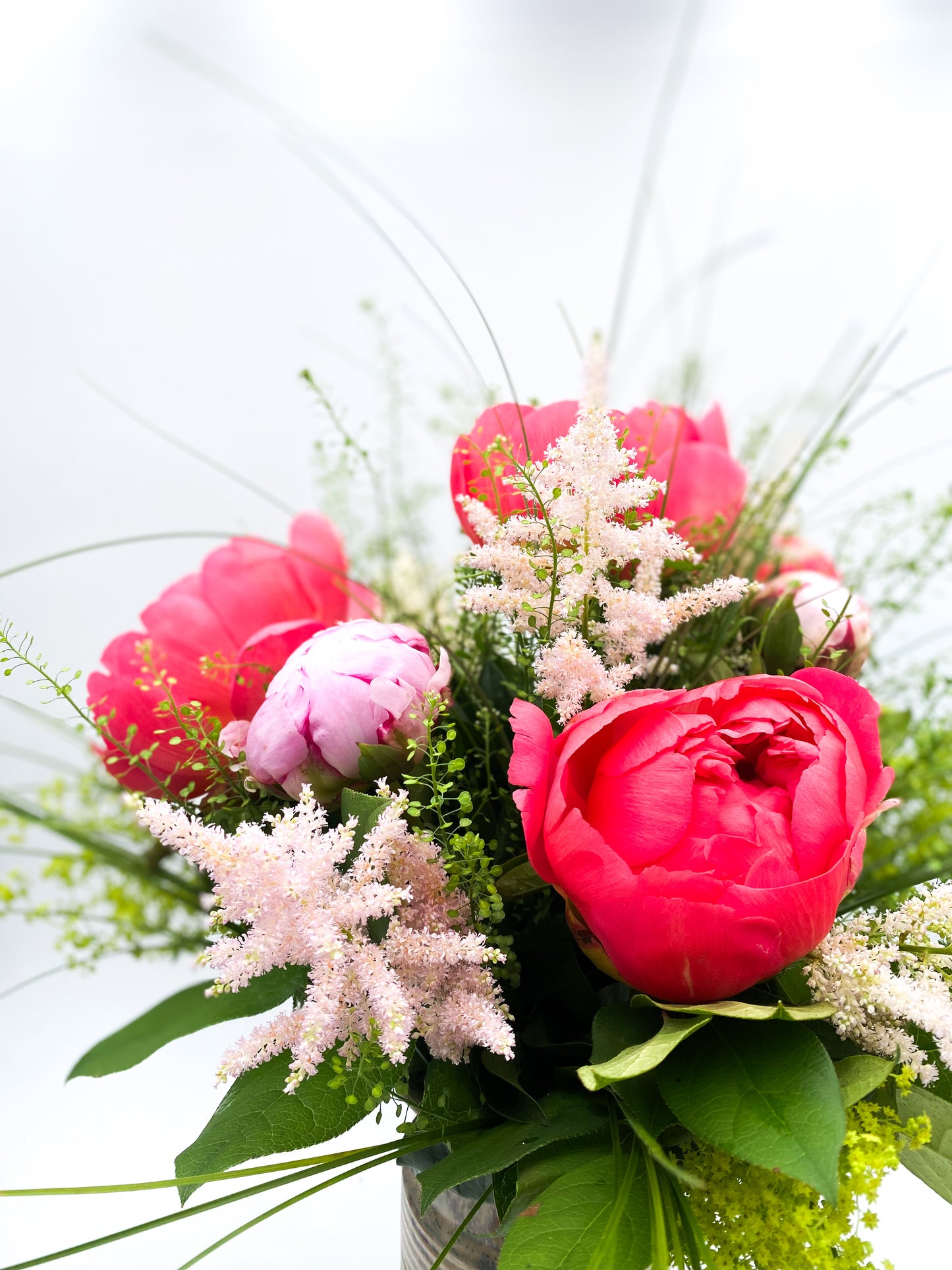 🌺 Peonies 🌺