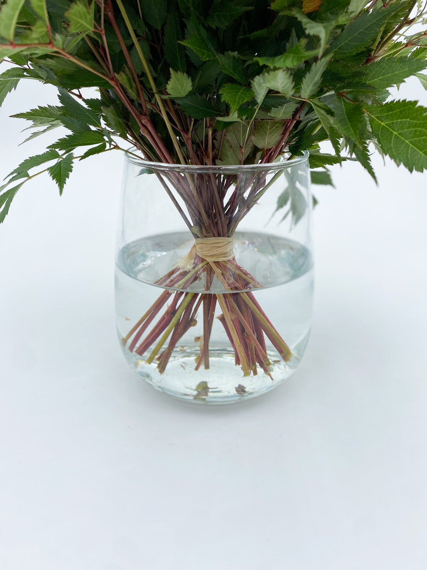 🏺 VASE 🏺
