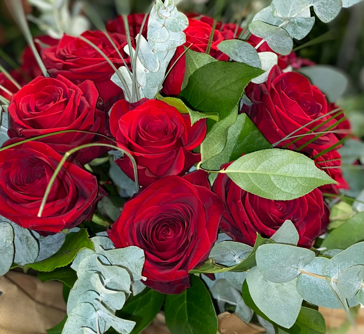 🌹RED 🌹