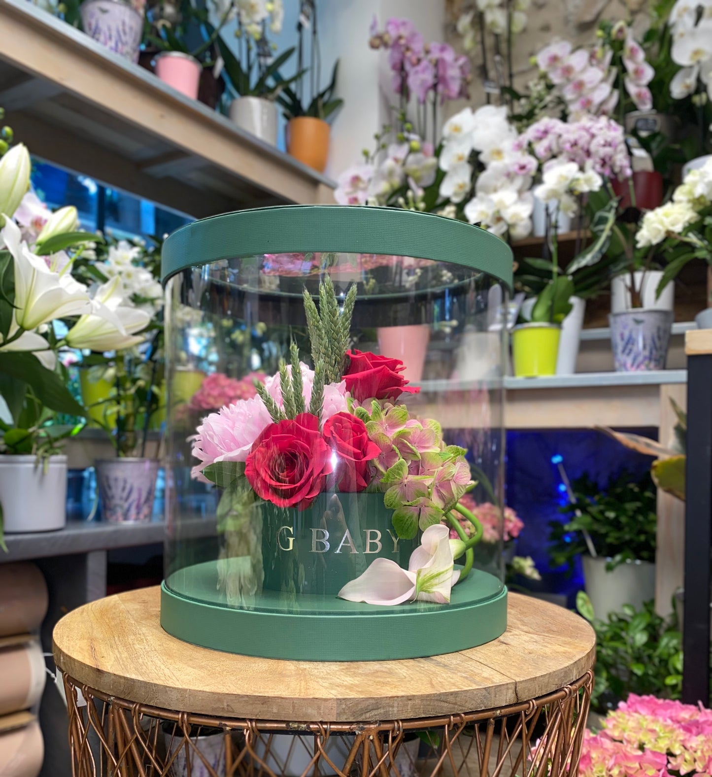 🦚 CIRCLE BOX 🦚