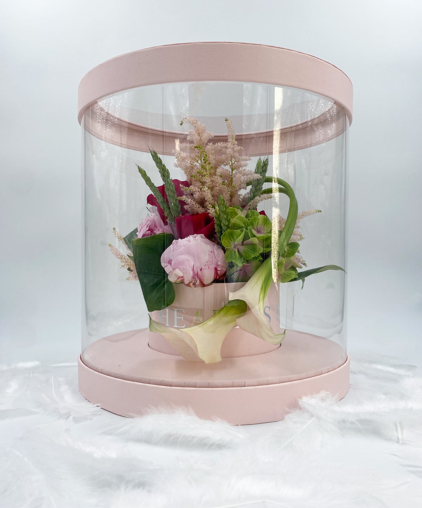 🌸 CIRCLE BOX 🌸